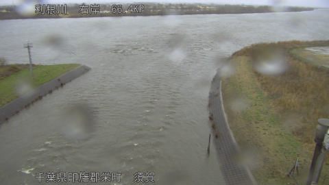 tonsu2026022517_image