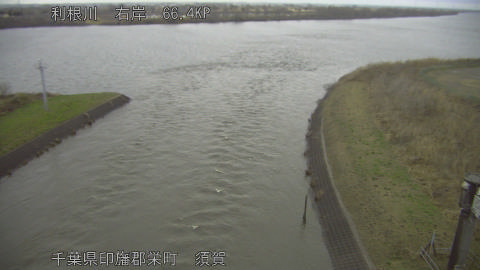 tonsu2026022607_image