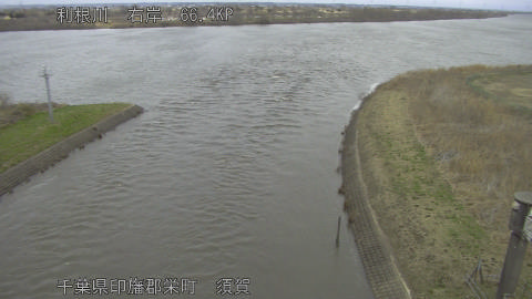 tonsu2026022612_image