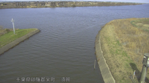 tonsu2026022714_image