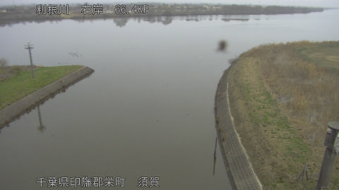 tonsu2026022808_image