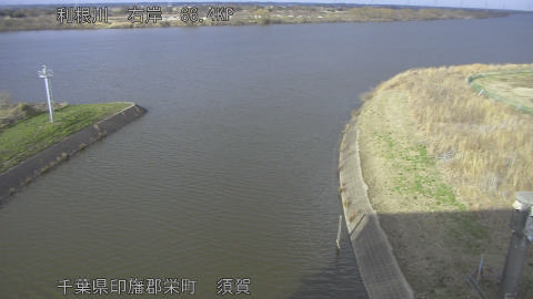 tonsu2026022816_image