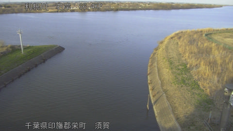 tonsu2026030117_image