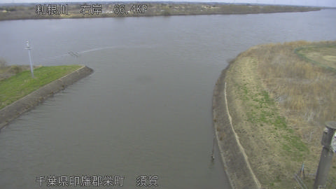 tonsu2026030212_image