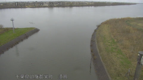 tonsu2026030309_image