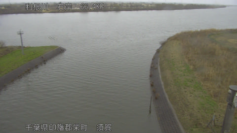 tonsu2026030310_image