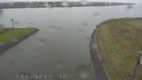 tonsu2026030312_image