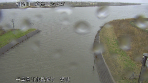 tonsu2026030314_image