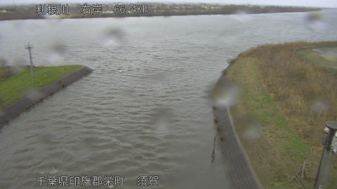 tonsu2026030315_image