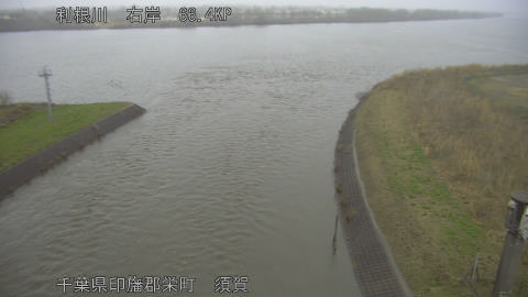 tonsu2026030317_image