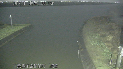 tonsu2026030402_image