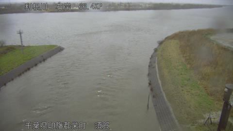 tonsu2026030407_image