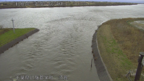 tonsu2026030408_image