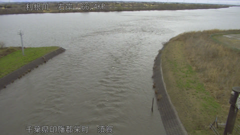 tonsu2026030409_image