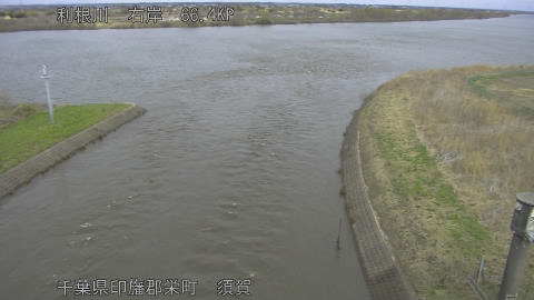 tonsu2026030412_image