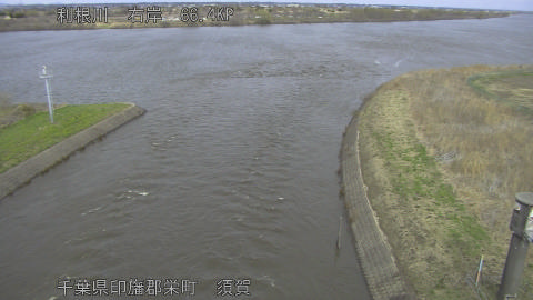 tonsu2026030413_image