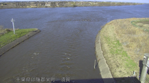 tonsu2026030415_image