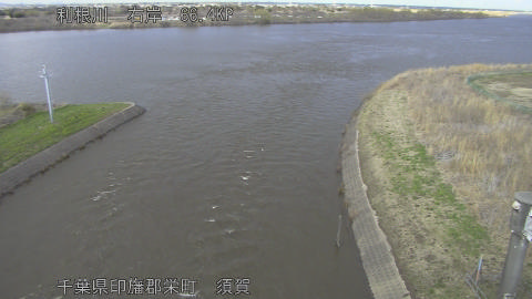 tonsu2026030417_image