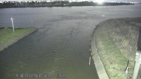 tonsu2026030419_image