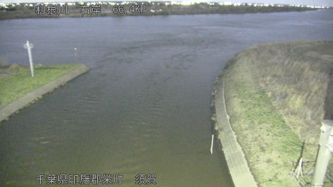 tonsu2026030421_image