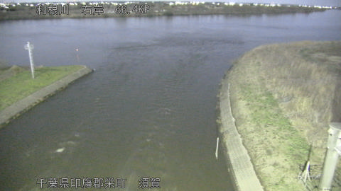 tonsu2026030502_image