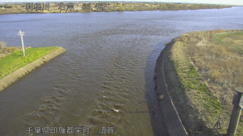 tonsu2026030508_image