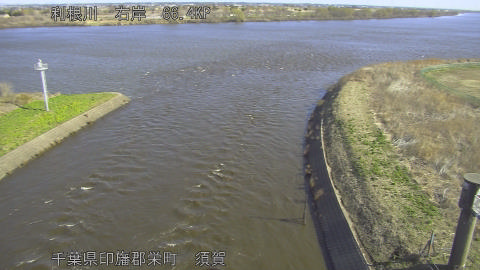 tonsu2026030509_image