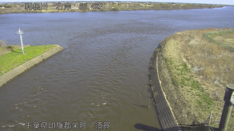 tonsu2026030510_image