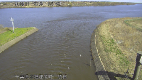 tonsu2026030511_image