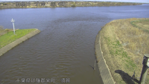 tonsu2026030512_image