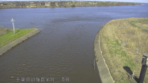 tonsu2026030513_image