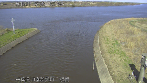 tonsu2026030514_image