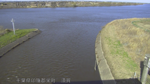 tonsu2026030515_image