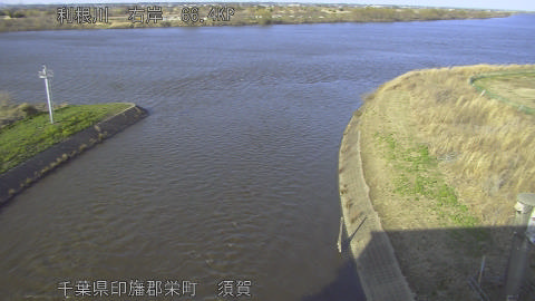 tonsu2026030516_image