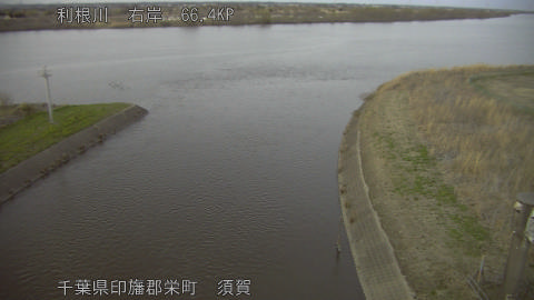 tonsu2026030518_image