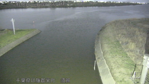 tonsu2026030522_image