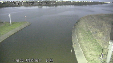 tonsu2026030523_image