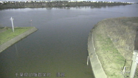 tonsu2026030600_image