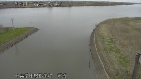 tonsu2026030611_image