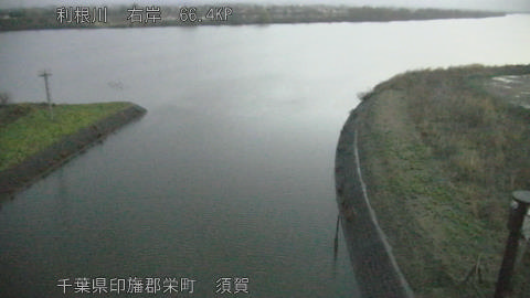 tonsu2026030706_image