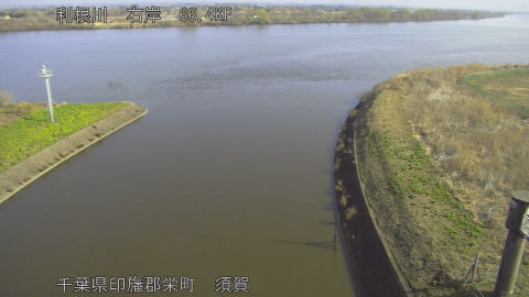 tonsu2026030709_image