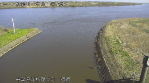 tonsu2026030710_image