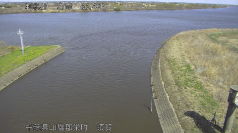 tonsu2026030712_image