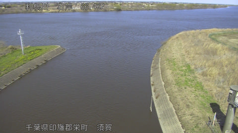 tonsu2026030714_image