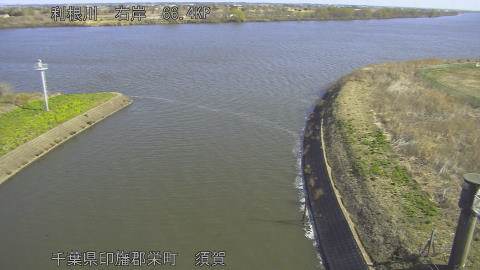 tonsu2026030809_image