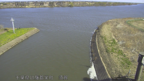 tonsu2026030810_image