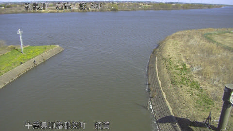 tonsu2026030811_image