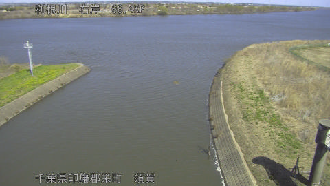 tonsu2026030812_image