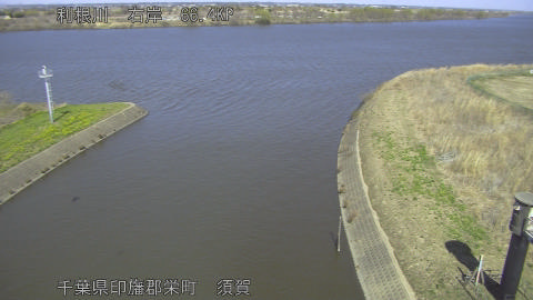 tonsu2026030813_image