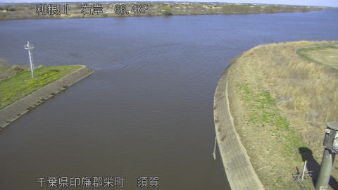 tonsu2026030814_image